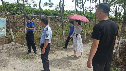 美丽田园爆料最新消息,揭秘行业新动态，带你走进田园新篇章